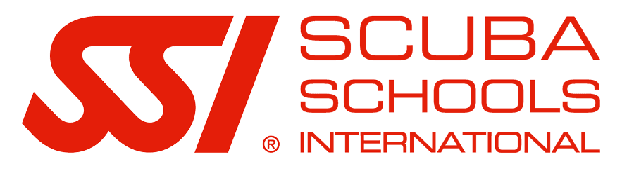 SSI