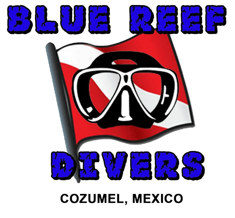 Blue Reef Divers