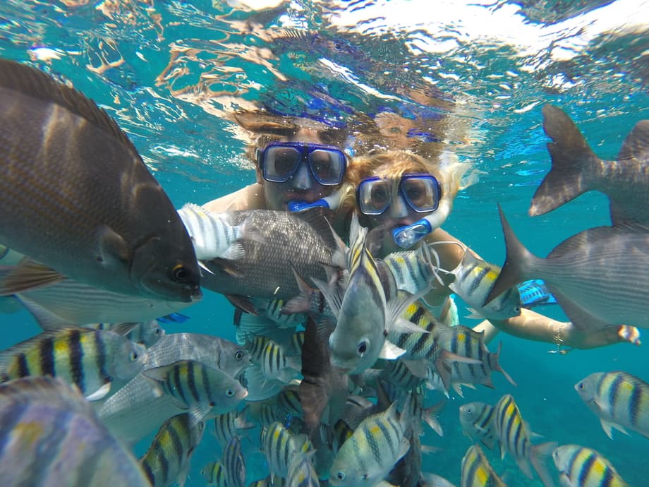 Snorkel trip